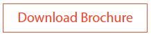 RADWIN-Smart-Node-download-brochure-button